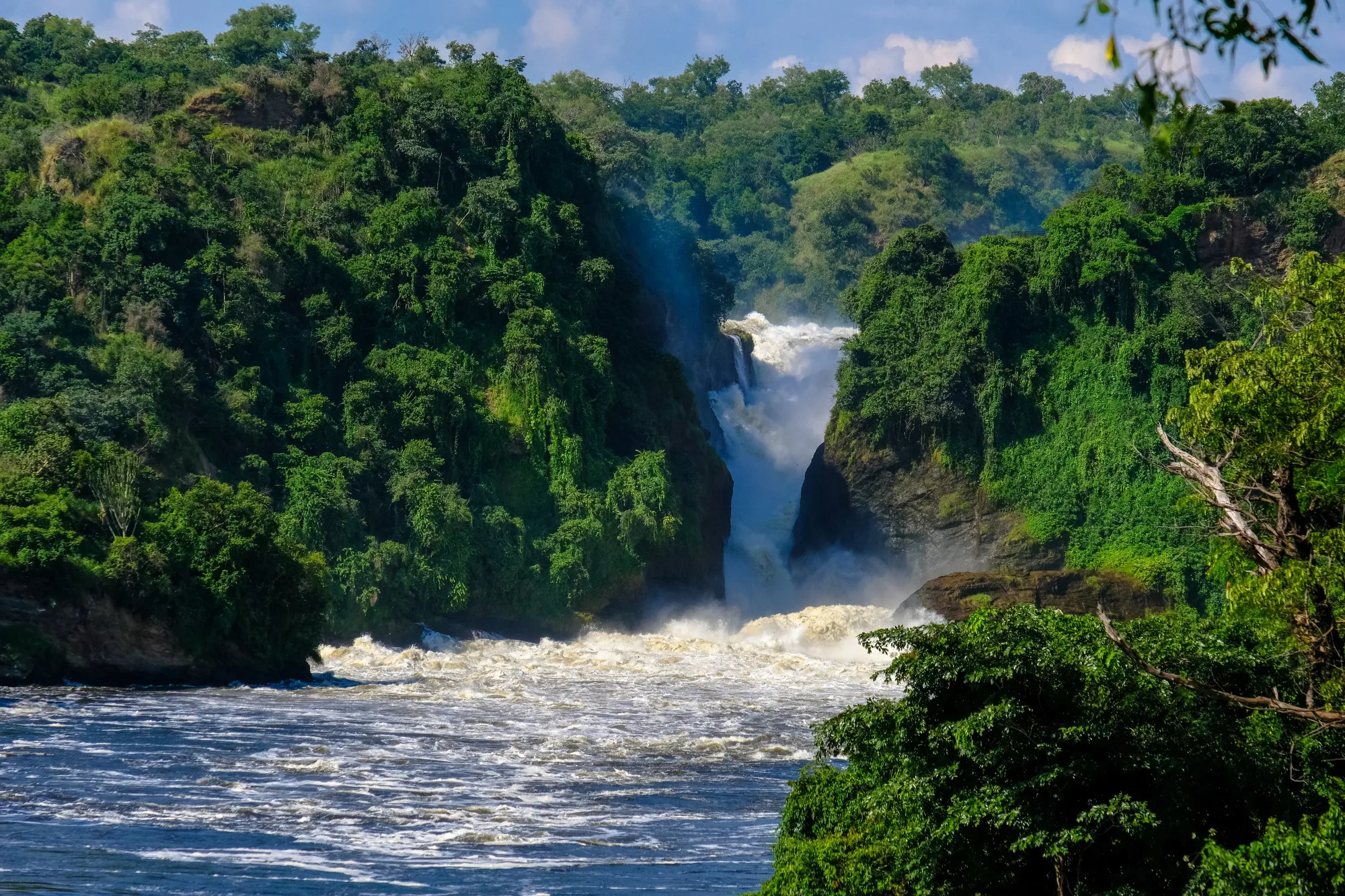 3-Day Murchison Falls Safari